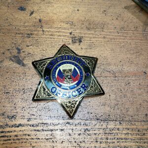 Vintage Blackinton Goldtone Security Officer Badge Pin 6 Point Star Police Law